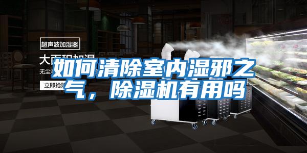 如何清除室內(nèi)濕邪之氣,除濕機(jī)有用嗎
