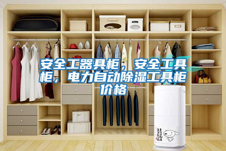安全工器具柜，安全工具柜，電力自動除濕工具柜價格