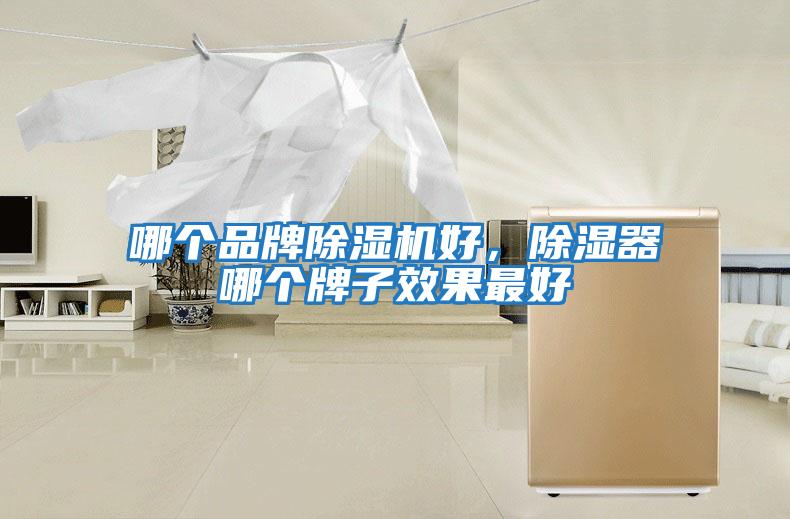 哪個品牌除濕機好，除濕器哪個牌子效果最好