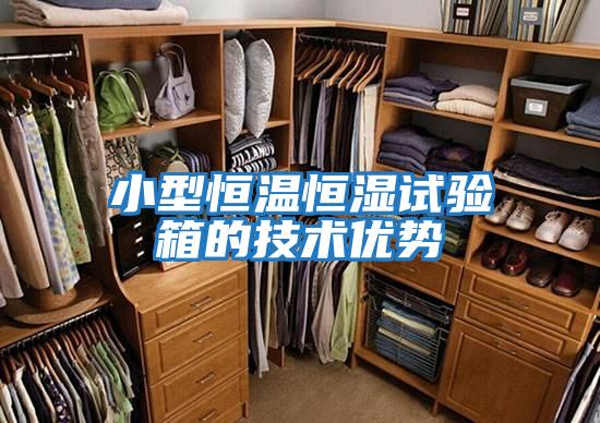 小型恒溫恒濕試驗箱的技術(shù)優(yōu)勢