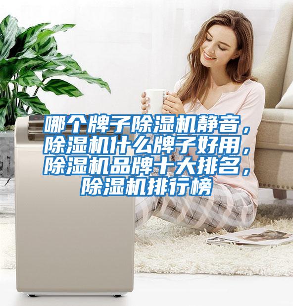 哪個牌子除濕機靜音，除濕機什么牌子好用，除濕機品牌十大排名，除濕機排行榜