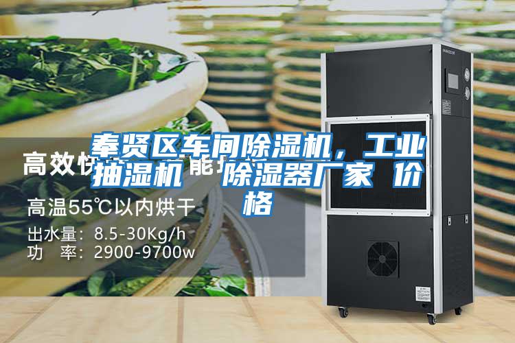 奉賢區(qū)車間除濕機(jī)，工業(yè)抽濕機(jī)  除濕器廠家 價(jià)格