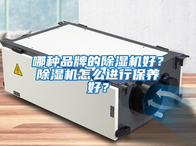 哪種品牌的除濕機好？除濕機怎么進行保養好？