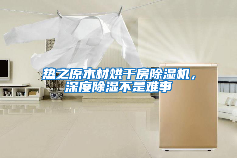 熱之原木材烘干房除濕機(jī)，深度除濕不是難事