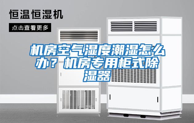 機房空氣濕度潮濕怎么辦？機房專用柜式除濕器