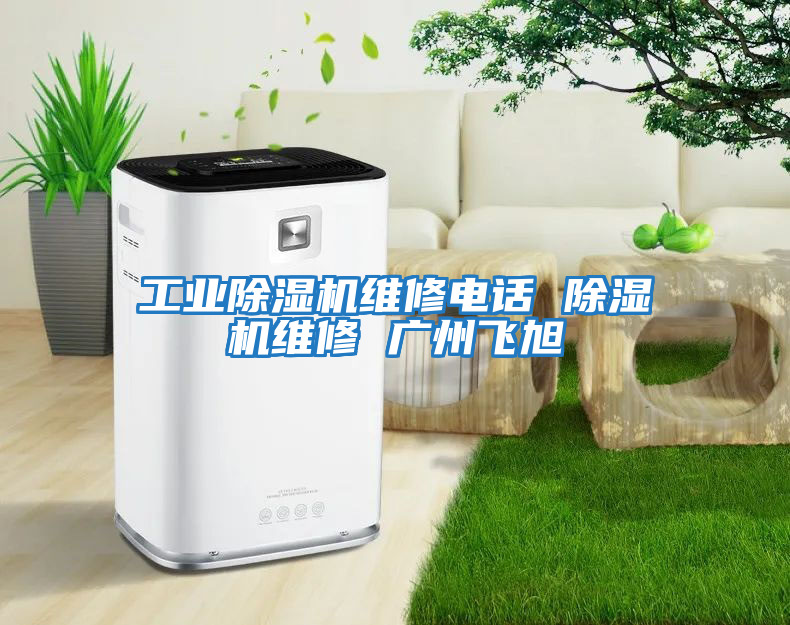 工業(yè)除濕機維修電話 除濕機維修 廣州飛旭