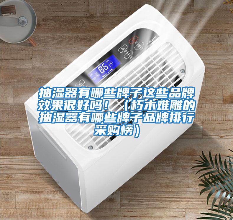 抽濕器有哪些牌子這些品牌效果很好嗎?。ㄐ嗄倦y雕的抽濕器有哪些牌子品牌排行采購榜）