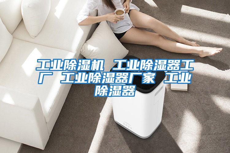 工業除濕機 工業除濕器工廠 工業除濕器廠家 工業除濕器