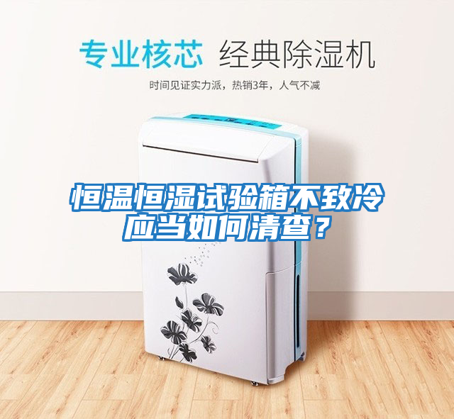 恒溫恒濕試驗箱不致冷應(yīng)當(dāng)如何清查?