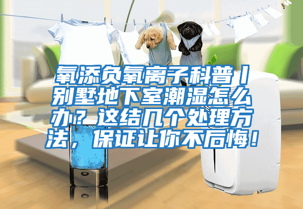 氧添負(fù)氧離子科普丨別墅地下室潮濕怎么辦？這結(jié)幾個處理方法，保證讓你不后悔！