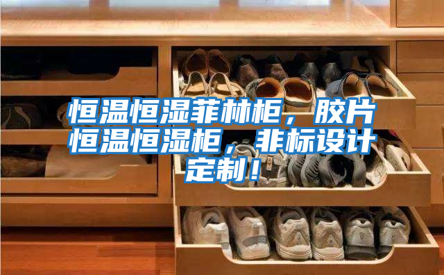 恒溫恒濕菲林柜,膠片恒溫恒濕柜,非標設計定制!