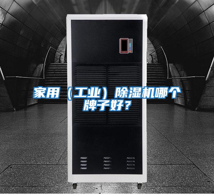 家用（工業）除濕機哪個牌子好？