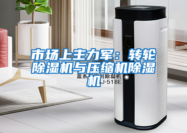 市場上主力軍:轉(zhuǎn)輪除濕機與壓縮機除濕機