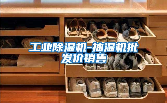 工業除濕機-抽濕機批發價銷售