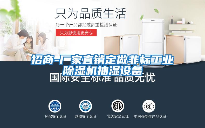 招商-廠家直銷定做非標(biāo)工業(yè)除濕機(jī)抽濕設(shè)備