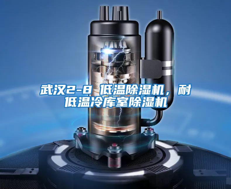 武漢2-8℃低溫除濕機，耐低溫冷庫室除濕機