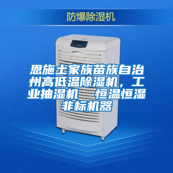 恩施土家族苗族自治州高低溫除濕機(jī),工業(yè)抽濕機(jī) 恒溫恒濕非標(biāo)機(jī)器