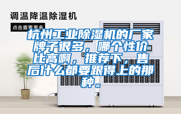 杭州工業(yè)除濕機(jī)的廠(chǎng)家牌子很多，哪個(gè)性?xún)r(jià)比高啊，推薦下，售后什么都要跟得上的那種。