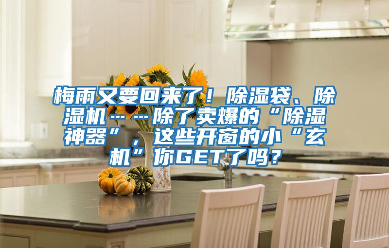 梅雨又要回來了！除濕袋、除濕機……除了賣爆的“除濕神器”，這些開窗的小“玄機”你GET了嗎？