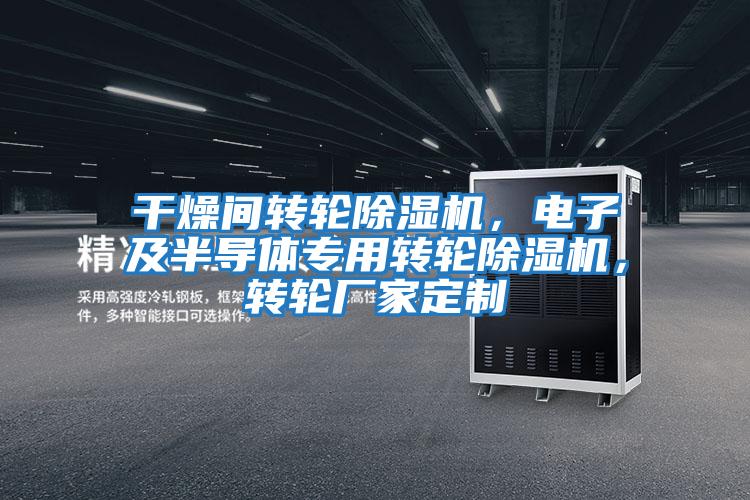 干燥間轉輪除濕機，電子及半導體專用轉輪除濕機，轉輪廠家定制