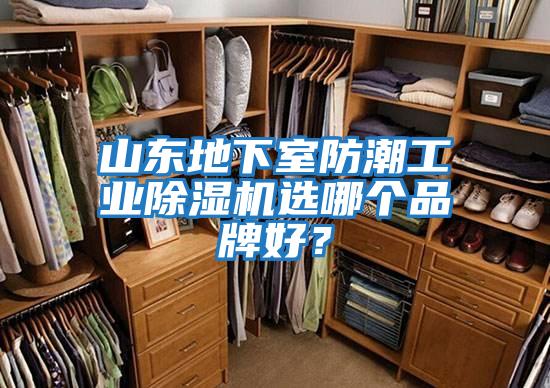 山東地下室防潮工業除濕機選哪個品牌好?