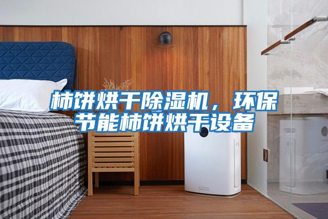 柿餅烘干除濕機，環(huán)保節(jié)能柿餅烘干設備