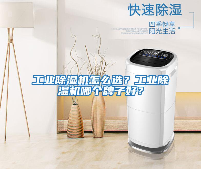 工業(yè)除濕機(jī)怎么選？工業(yè)除濕機(jī)哪個牌子好？