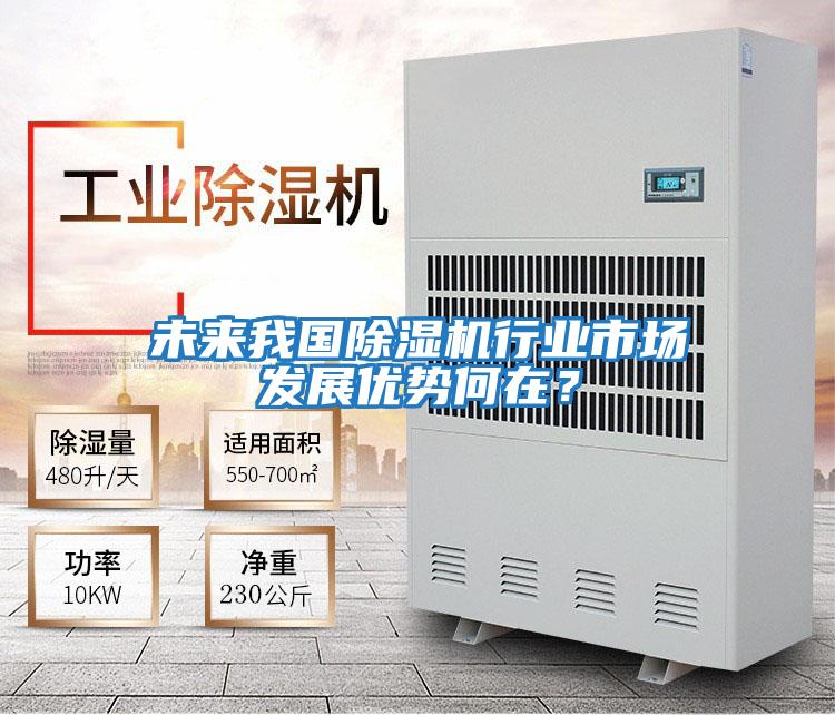 未來我國除濕機(jī)行業(yè)市場發(fā)展優(yōu)勢何在?