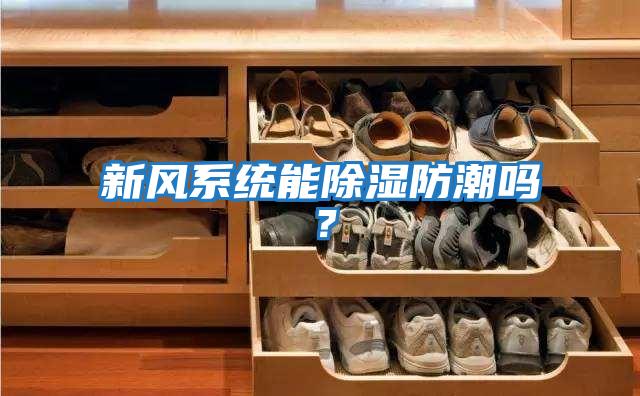 新風(fēng)系統(tǒng)能除濕防潮嗎?