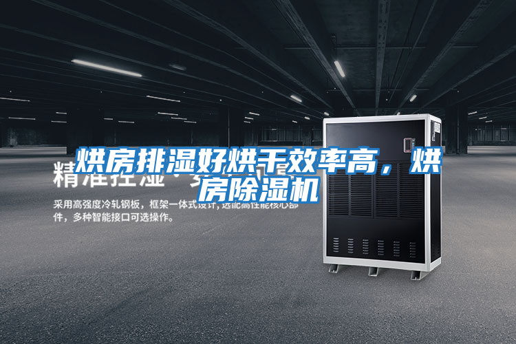 烘房排濕好烘干效率高,烘房除濕機(jī)