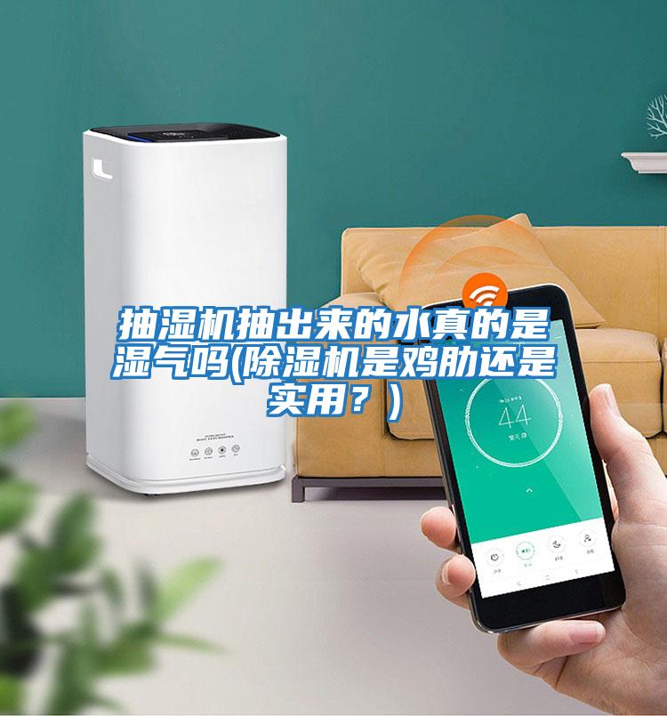 抽濕機抽出來的水真的是濕氣嗎(除濕機是雞肋還是實用？)