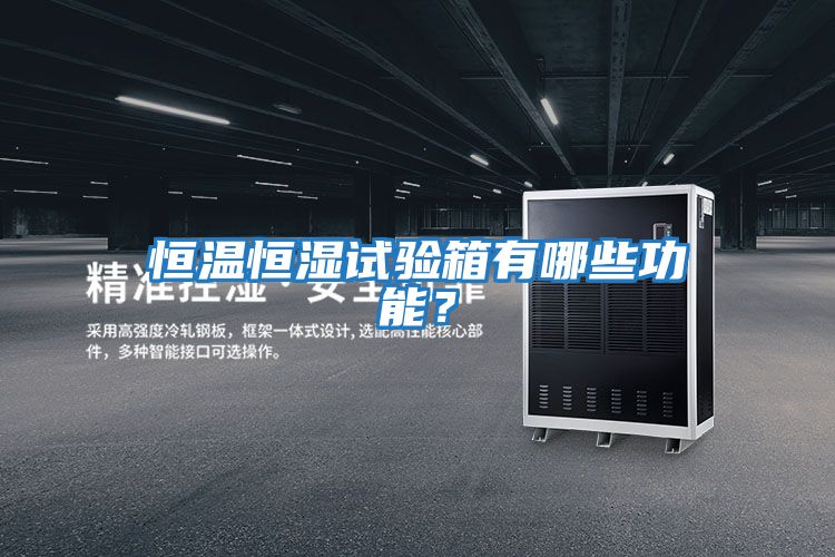 恒溫恒濕試驗箱有哪些功能？