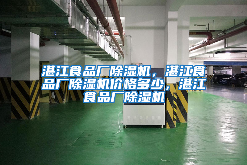 湛江食品廠除濕機，湛江食品廠除濕機價格多少，湛江食品廠除濕機