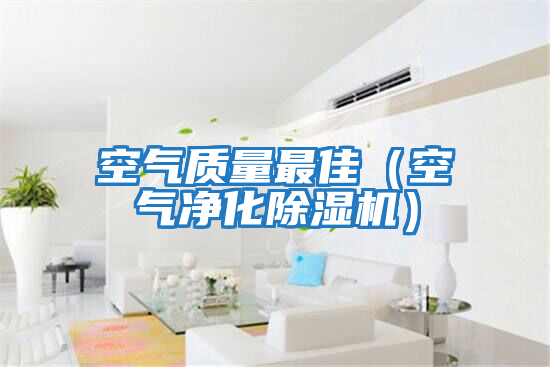 空氣質量最佳(空氣凈化除濕機)