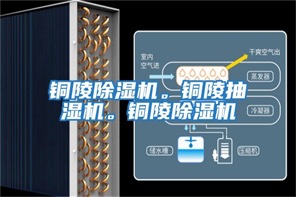 銅陵除濕機。銅陵抽濕機。銅陵除濕機
