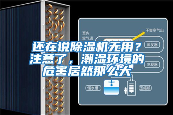 還在說除濕機(jī)無用？注意了，潮濕環(huán)境的危害居然那么大