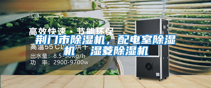 荊門(mén)市除濕機(jī)，配電室除濕機(jī)  濕菱除濕機(jī)