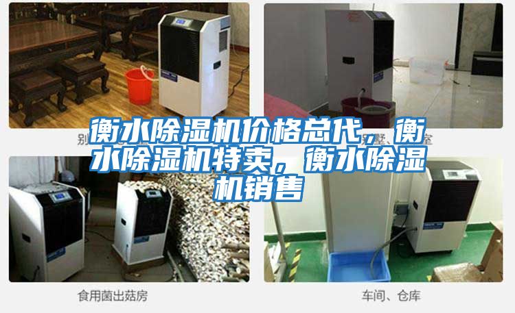 衡水除濕機價格總代，衡水除濕機特賣，衡水除濕機銷售