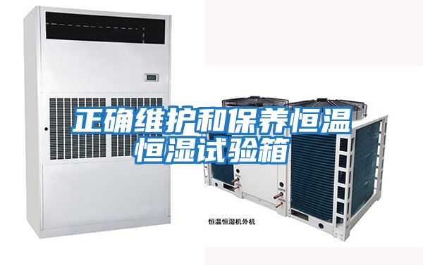 正確維護和保養恒溫恒濕試驗箱