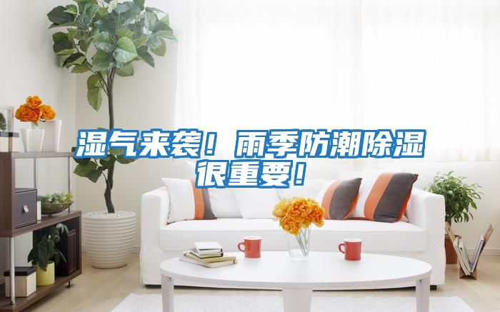 濕氣來襲！雨季防潮除濕很重要！