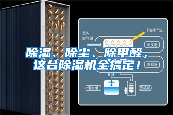 除濕、除塵、除甲醛,這臺(tái)除濕機(jī)全搞定!