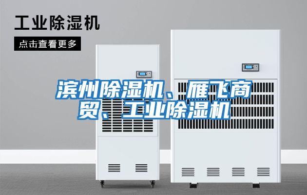 濱州除濕機、雁飛商貿(mào)、工業(yè)除濕機