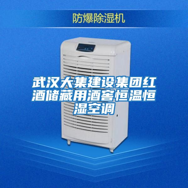 武漢大集建設集團紅酒儲藏用酒窖恒溫恒濕空調(diào)