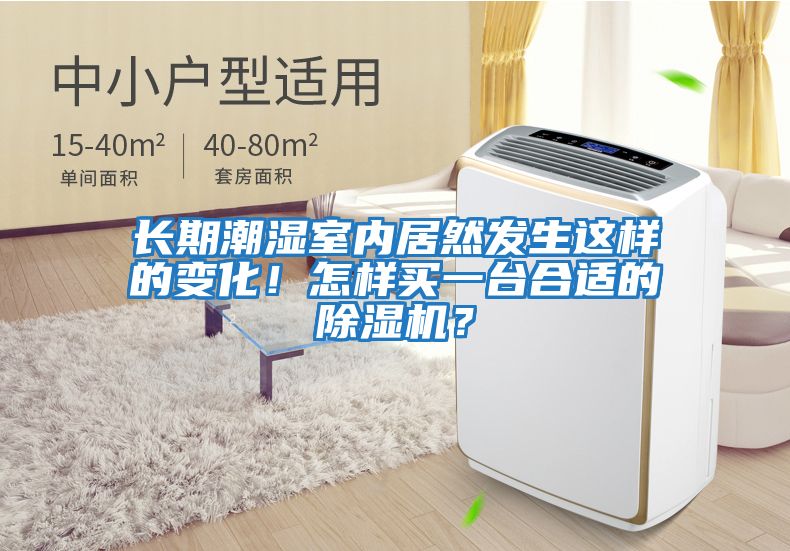 長期潮濕室內(nèi)居然發(fā)生這樣的變化！怎樣買一臺(tái)合適的除濕機(jī)？