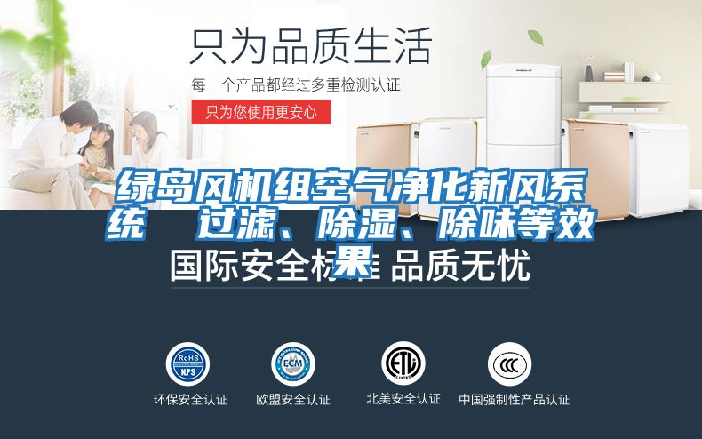 綠島風(fēng)機(jī)組空氣凈化新風(fēng)系統(tǒng) 過濾、除濕、除味等效果