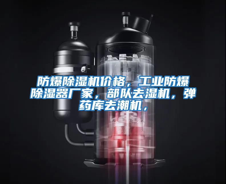 防爆除濕機價格,工業防爆除濕器廠家,部隊去濕機,彈藥庫去潮機,