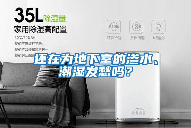 還在為地下室的滲水、潮濕發愁嗎？