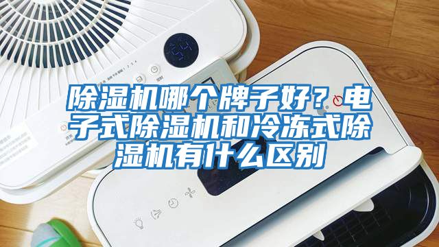 除濕機哪個牌子好?電子式除濕機和冷凍式除濕機有什么區(qū)別