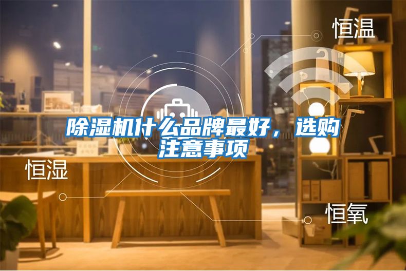 除濕機什么品牌最好，選購注意事項
