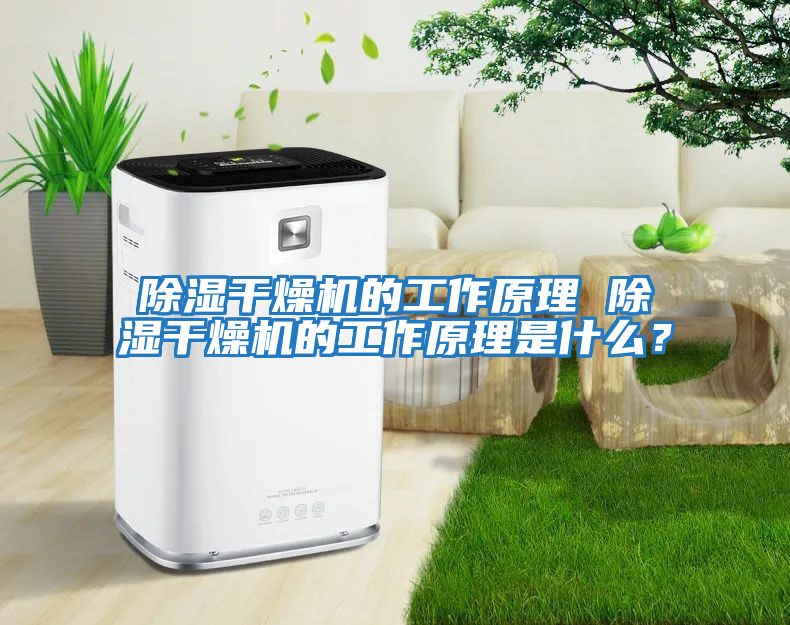 除濕干燥機的工作原理 除濕干燥機的工作原理是什么？